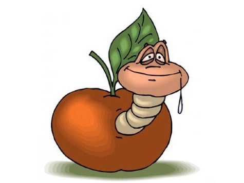 Le site des Minçamies d'Ema