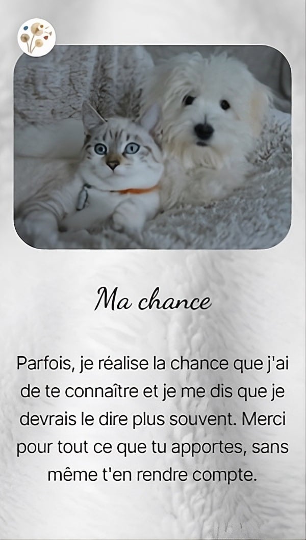 Ma chance