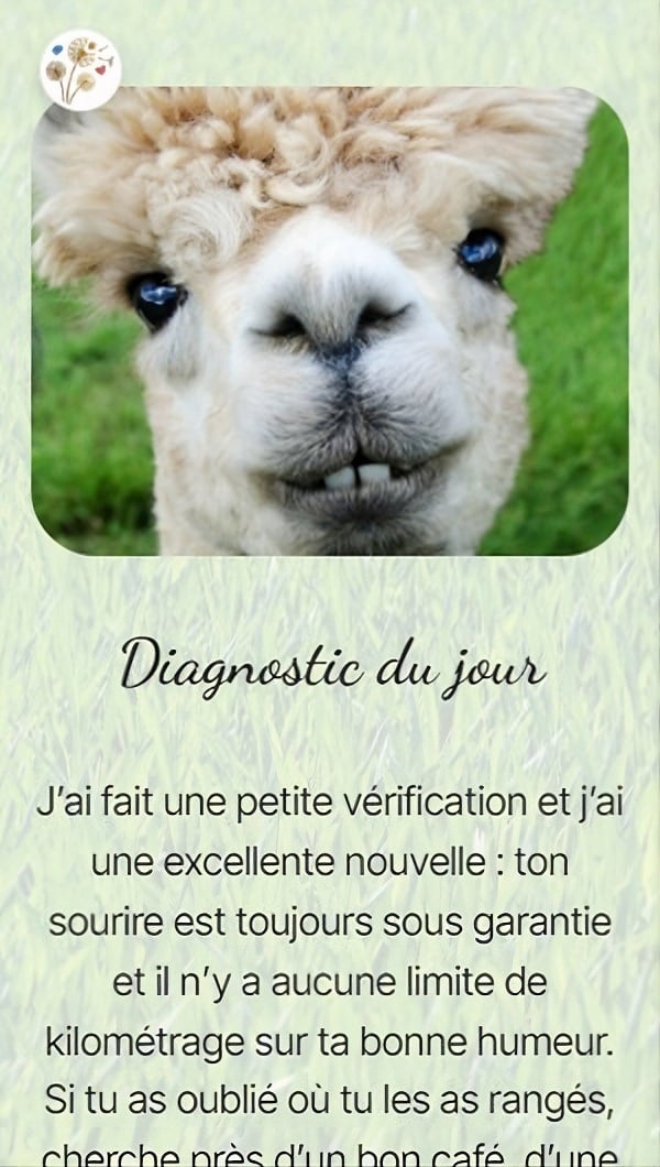 Diagnostic du jour