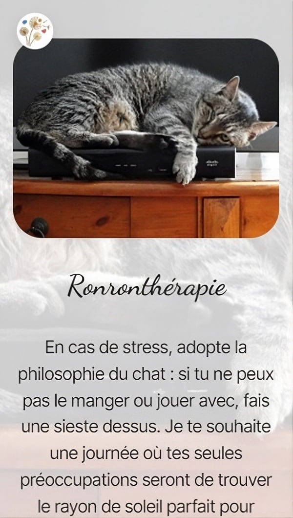 Ronronthérapie