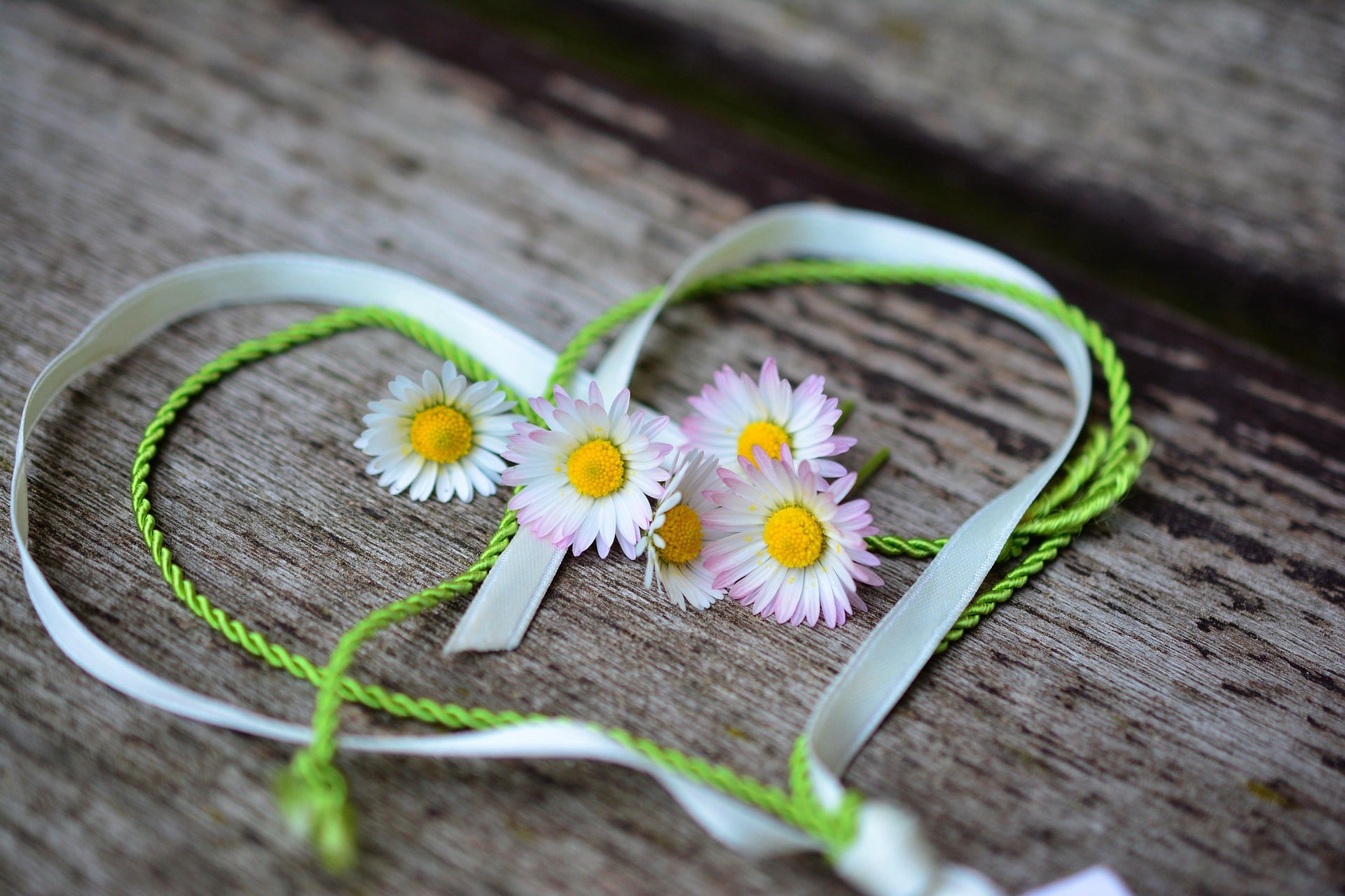 Hommage aux mamans