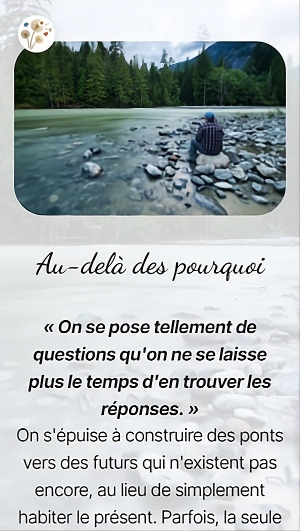 Au-delà des pourquoi