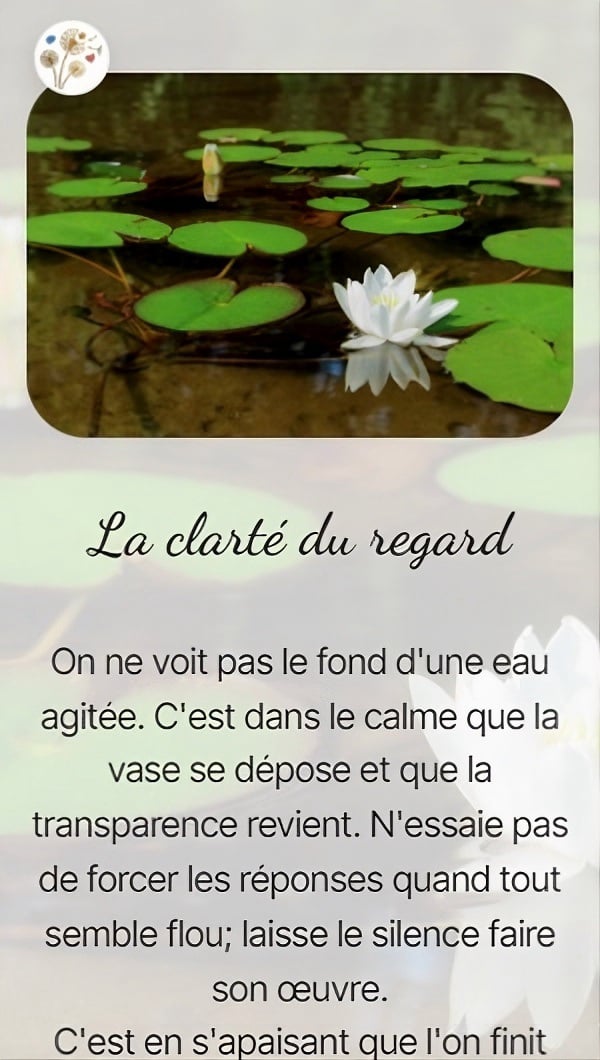 La clarté du regard