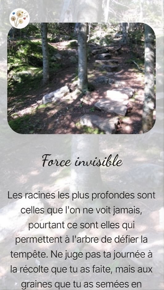 Force invisible