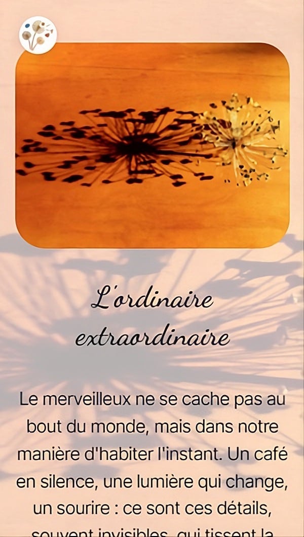L'ordinaire extraordinaire