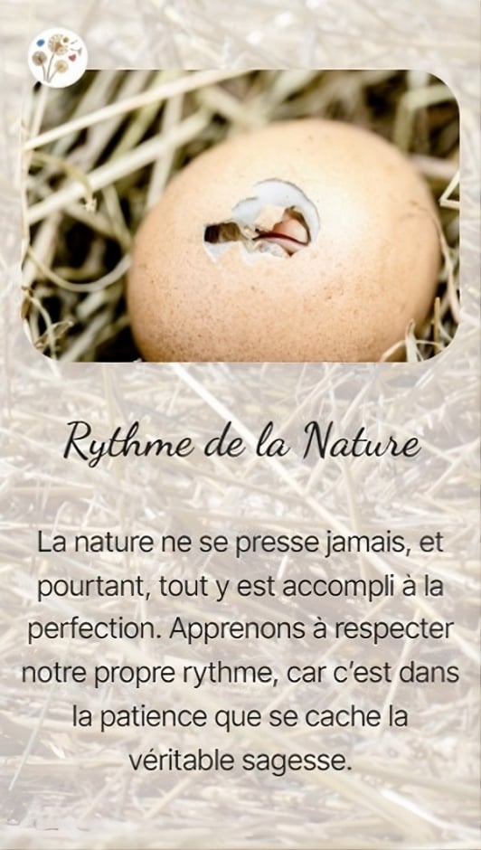 Rythme de la Nature