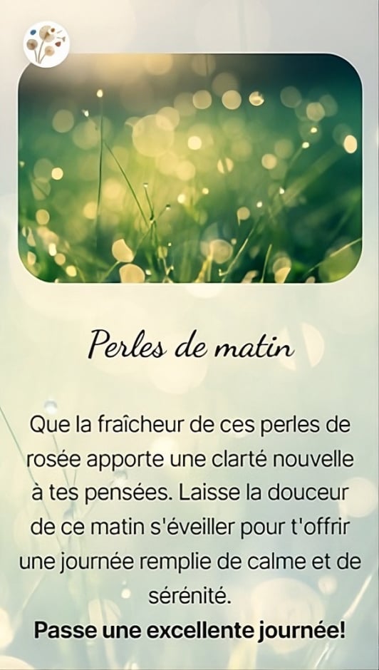 Perles de matin