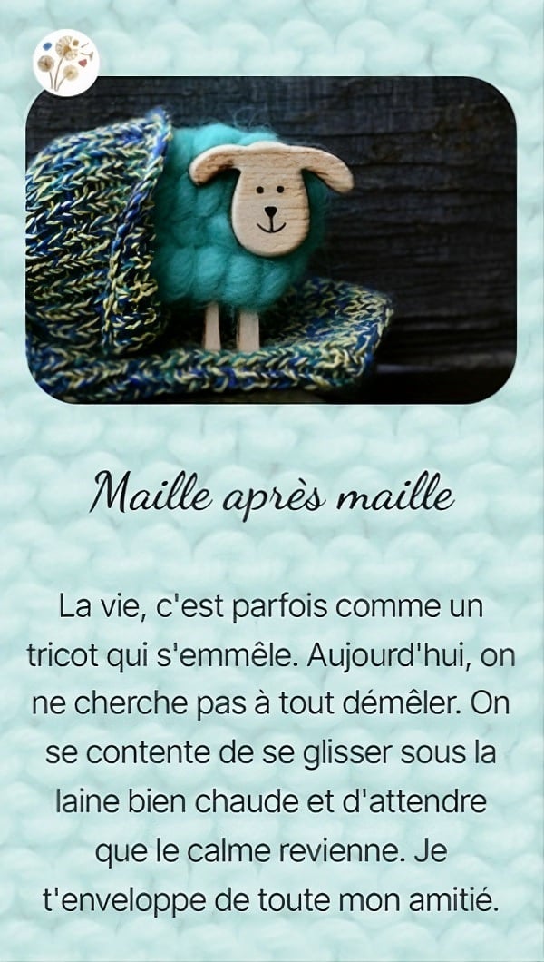 Maille après maille